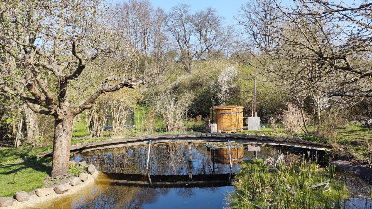 Grosse Wohnung / Haushaelfte In Peetzig Am See 安格尔明德 外观 照片