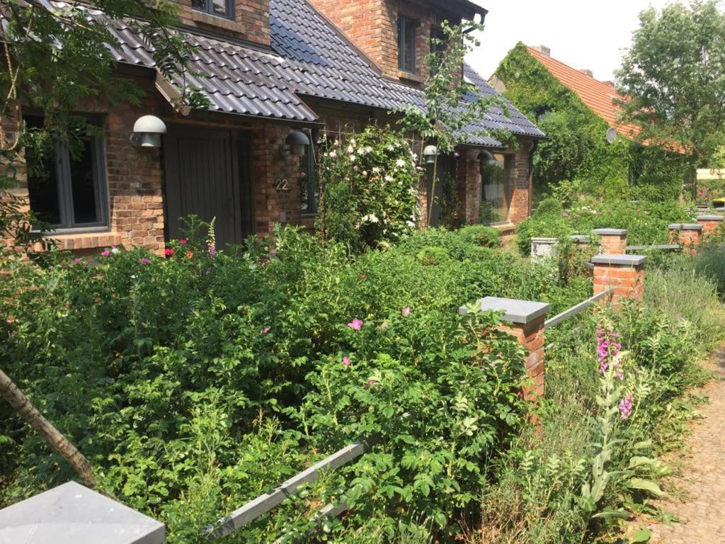 Grosse Wohnung / Haushaelfte In Peetzig Am See 安格尔明德 外观 照片
