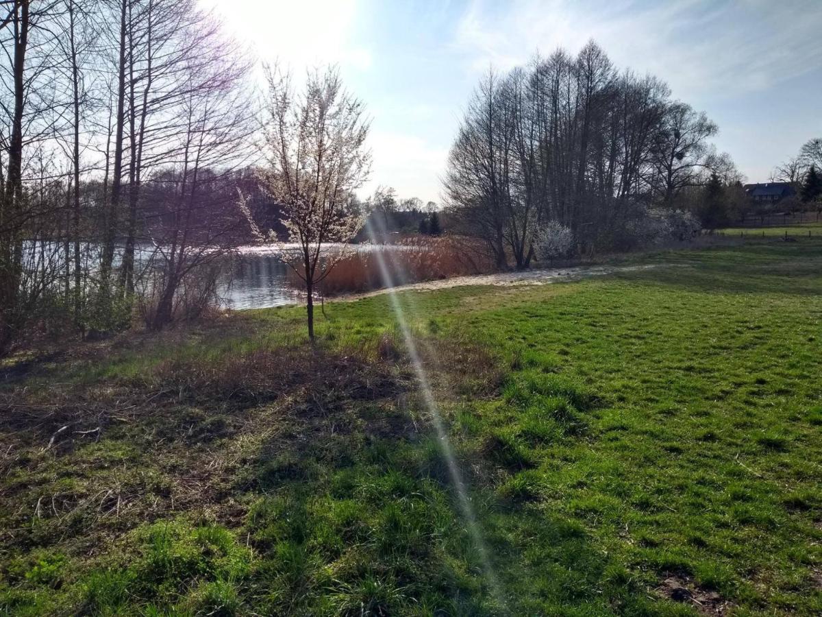Grosse Wohnung / Haushaelfte In Peetzig Am See 安格尔明德 外观 照片